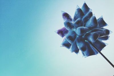 Low angle view of flower against blue sky