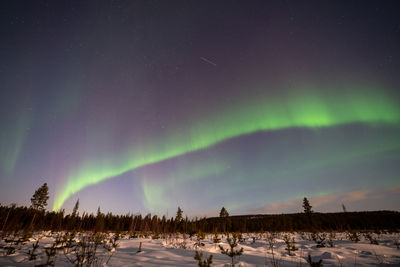 Scenic view of landscape against sky at night