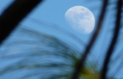 Low angle view of moon in sky