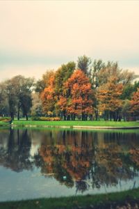 Reflection of trees in water