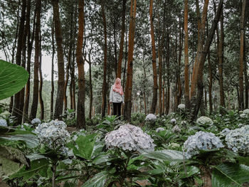 Woman standing by trees in forest