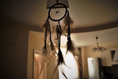 Close-up of feather hanging on wall at home