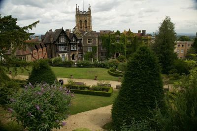 Buildings in a garden