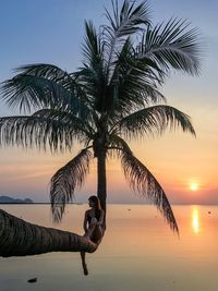 Woman sitting on palm tree by sea during sunset