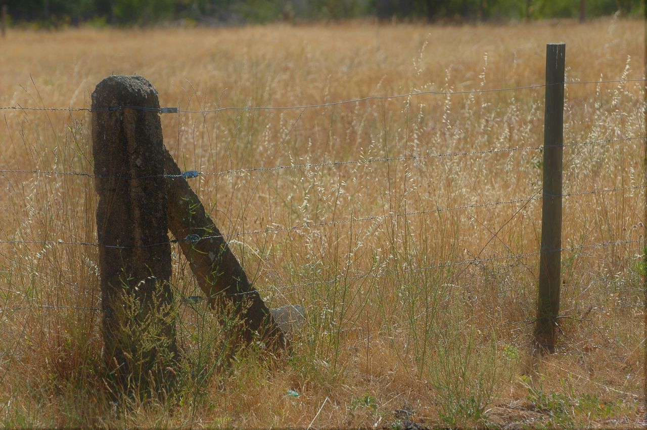 SHADOW OF PERSON ON WOODEN POST