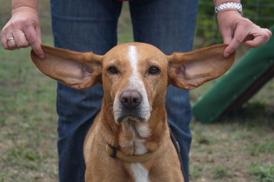 Close-up of man holding dog sitting on field