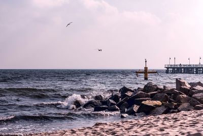 Birds flying over sea against sky