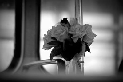 Close-up of flower against window