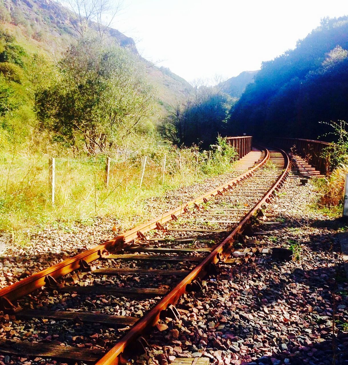 transportation, sunlight, railroad track, tree, outdoors, sky, day, no people, rail transportation, nature