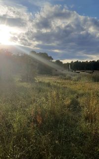 Scenic view of field against sky