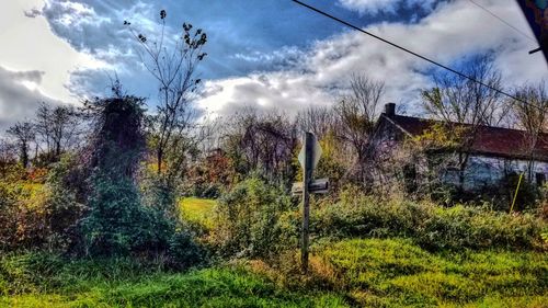 Plants growing on landscape against sky