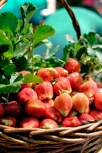 Close-up of strawberries in basket