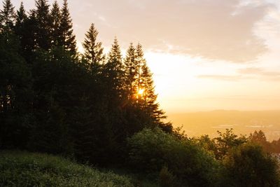 Scenic view of sunset over landscape