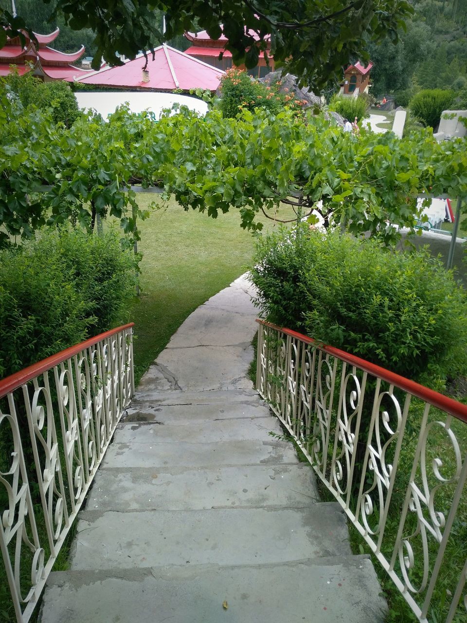 tree, plant, railing, growth, outdoors, nature, green color, day, no people, beauty in nature, grass, architecture, sky