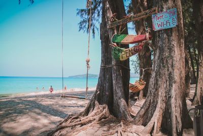 Panoramic shot of trees on beach against sky