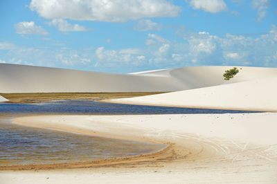 Scenic view of beach against cloudy sky