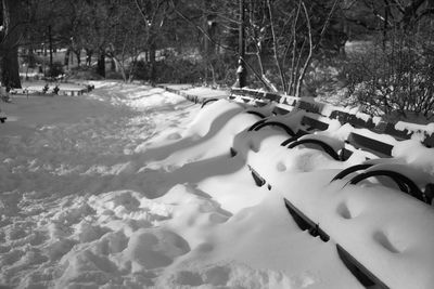 Panoramic view of snow on trees during winter
