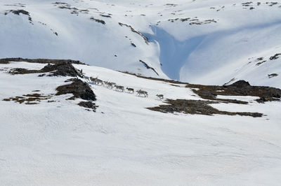 High angle view of snow covered mountains