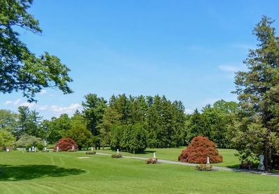 Trees on field against sky