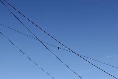 Low angle view of eagle flying against clear blue sky