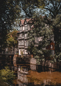 Reflection of trees and buildings on lake