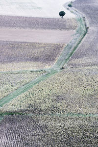 Aerial view of agricultural field