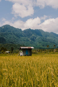 Scenic view of agricultural field against sky