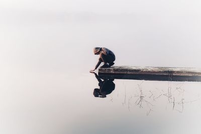 Bird on lake against sky