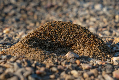 Close-up of stones on beach