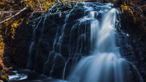 Scenic view of waterfall in forest