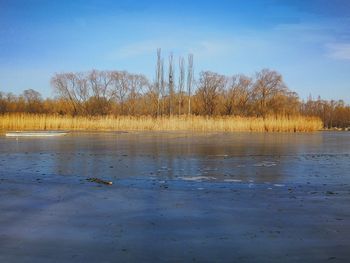 Scenic view of lake against sky during winter