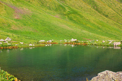 Aerial view of townscape by sea