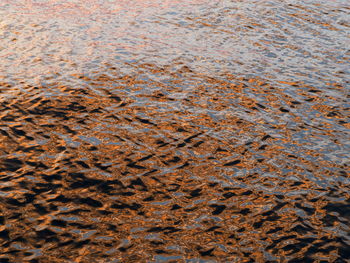 Full frame shot of sea shore