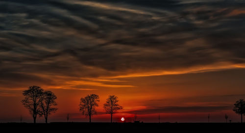 Silhouette of trees at sunset