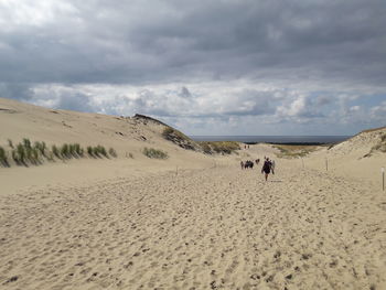 Scenic view of desert against sky