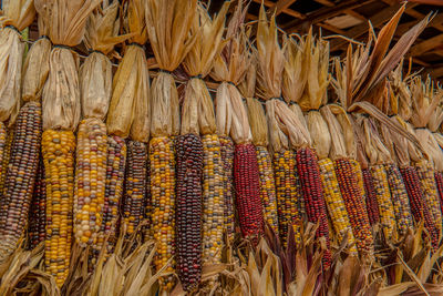 Full frame shot of vegetables for sale in market