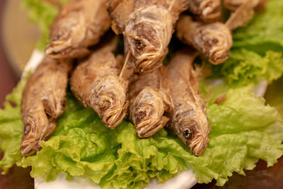 Close-up of meat on leaves