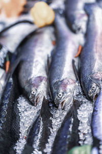 Close-up of fish for sale in market