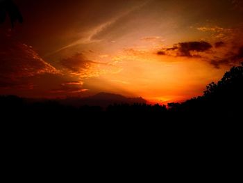 Silhouette of trees at sunset