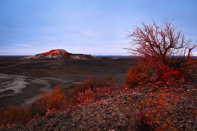 Scenic view of landscape against sky