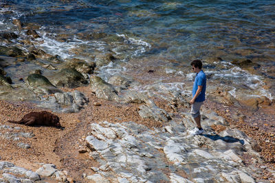 High angle view of man on rock at beach