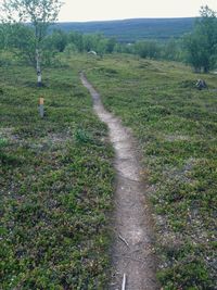 Footpath leading to dirt road