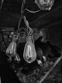 Close-up of illuminated light bulb