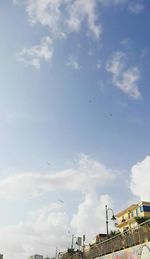 Low angle view of birds flying against sky