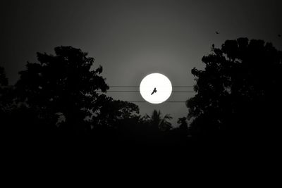 Low angle view of silhouette trees against sky at night