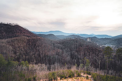 Panoramic view of trees and mountains against sky