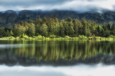 Scenic view of lake by trees against sky