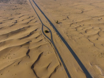 Desert bicycle trail separates in the middle to allow the tree to grow. drone photography.