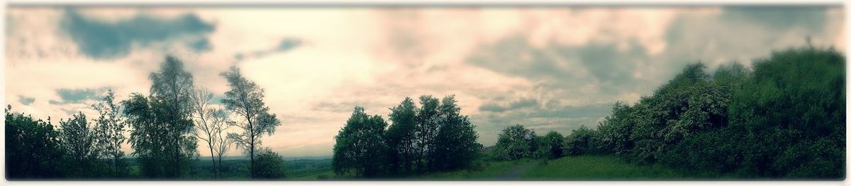 Trees on landscape against cloudy sky