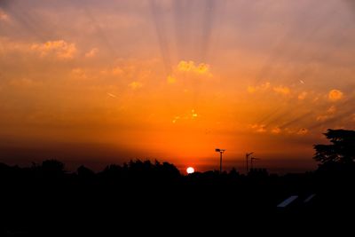 Silhouette of trees at sunset